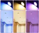 OIP (21).webp