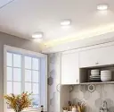 8ec193914994c4c558090c2ff6c924e52.webp