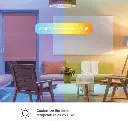 Colour-LB1-2.webp